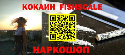 крисы Шахты