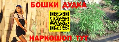 амф Шебекино