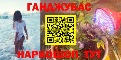 крисы Шахты