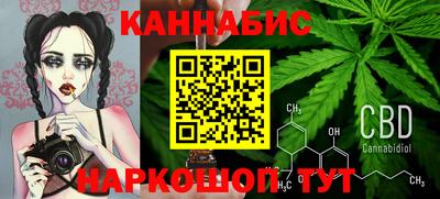 крисы Шахты