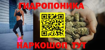 амф Шебекино