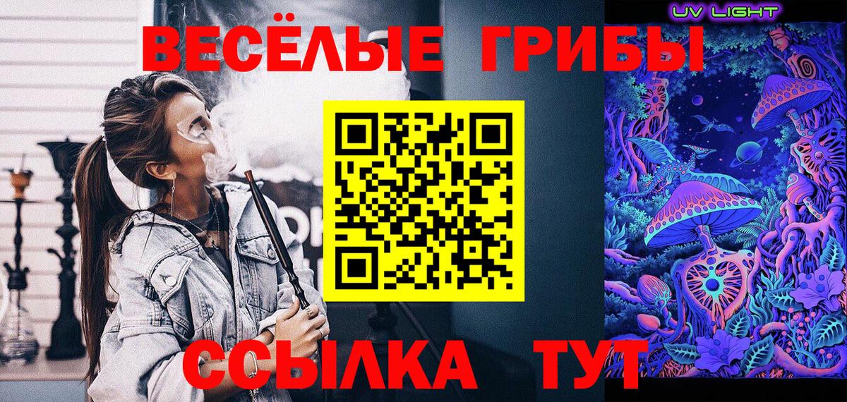 Псилоцибиновые грибы GOLDEN TEACHER  Вход с VPN  Амурск 